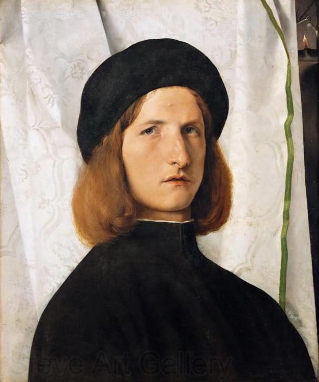 Lorenzo Lotto Portrait of a Young Man (mk08) Spain oil painting art